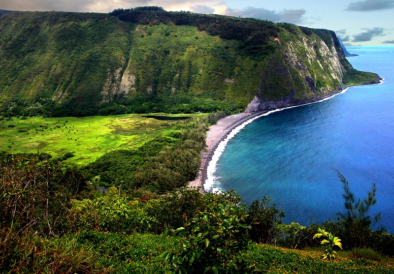 CRUCEROS HAWAI ISLAS DEL PACIFICO HAWAII HILO BIG ISLAND CRUISES VIAJES NOVIOS HAWAII LUNA DE MIEL EN HAWAII